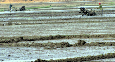 Los Cham en Dong Nai construyen su tierra natal